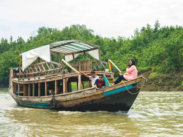 Mangrove canopy of the Sundarbans