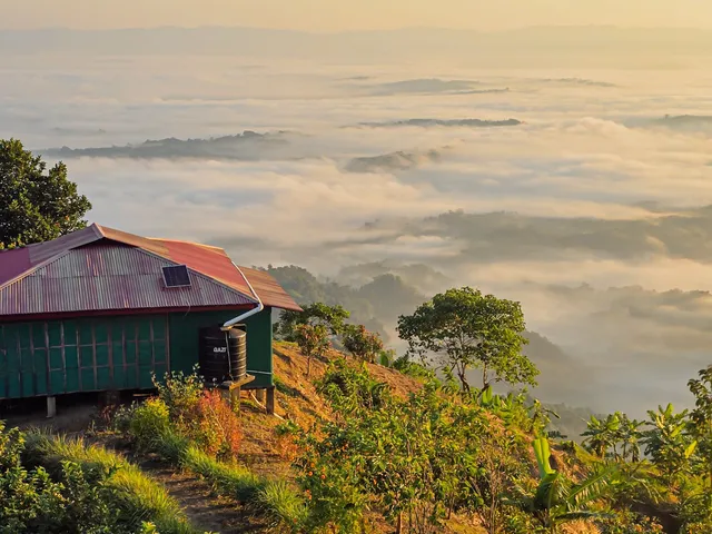 Mist between green hills